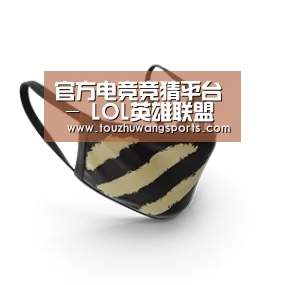 成人布口罩