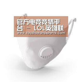 成人布口罩