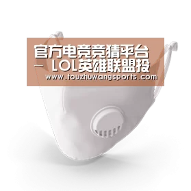N95 口罩
