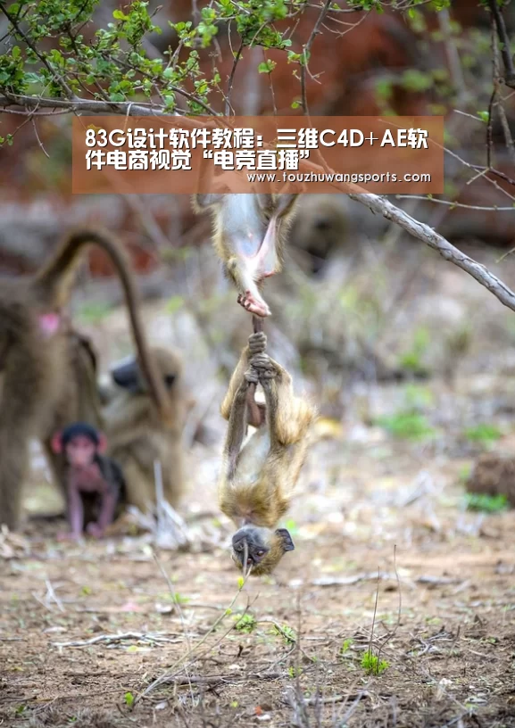 电竞赛事